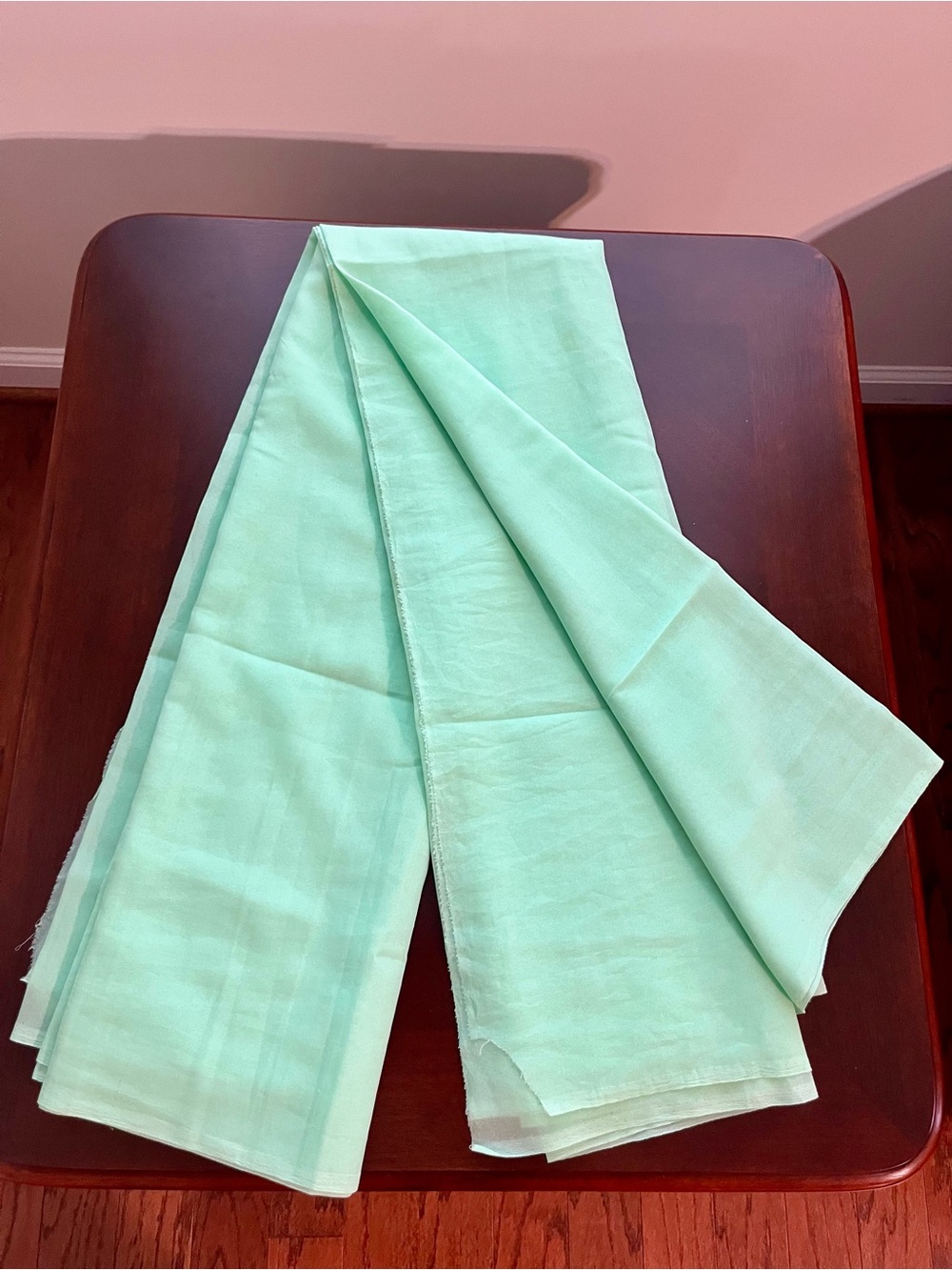 Mint Green Saree